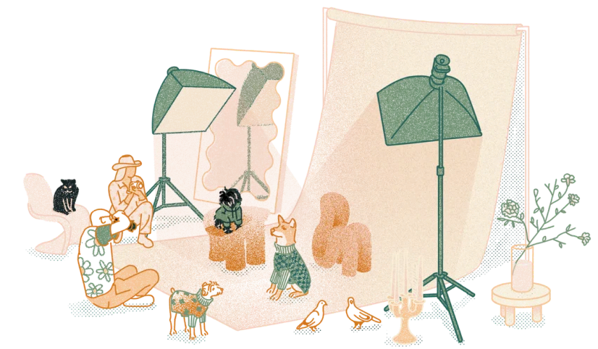 PawMaison Hikayesi